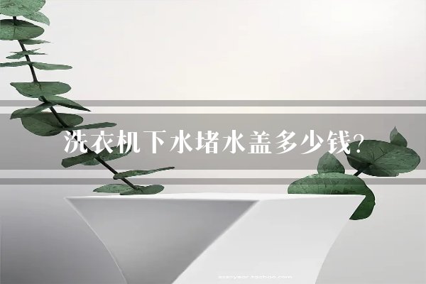 洗衣机下水堵水盖多少钱？