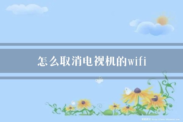 怎么取消电视机的wifi？