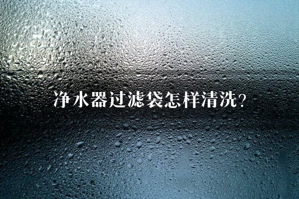 净水器过滤袋怎样清洗？