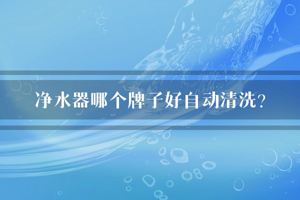 净水器哪个牌子好自动清洗？