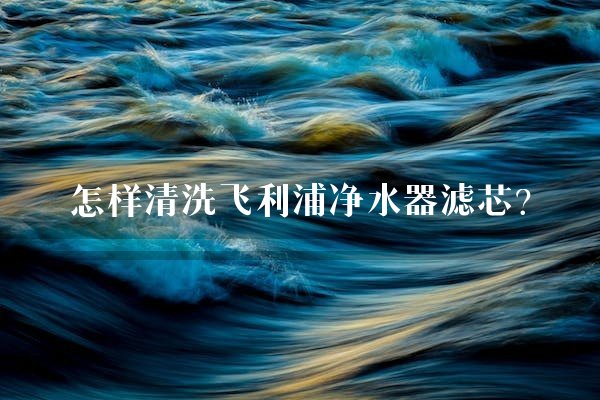 怎样清洗飞利浦净水器滤芯？