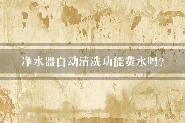 净水器自动清洗功能费水吗?