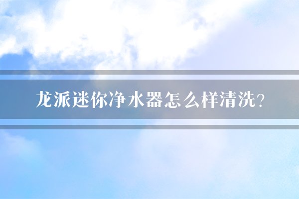 龙派迷你净水器怎么样清洗？
