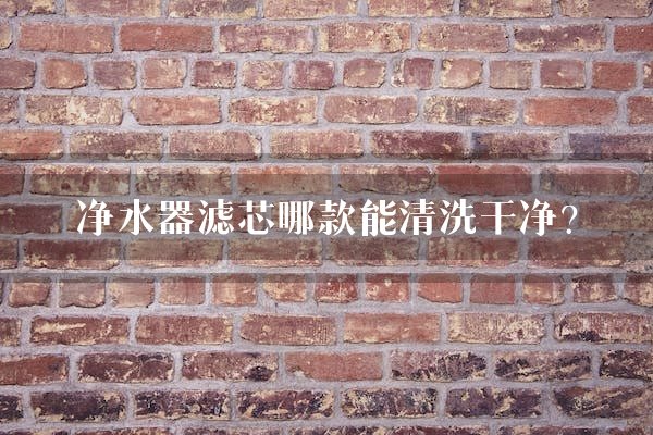 净水器滤芯哪款能清洗干净？