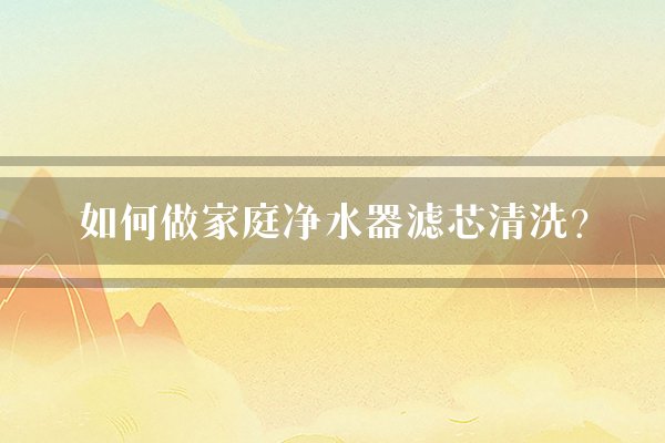 如何做家庭净水器滤芯清洗？