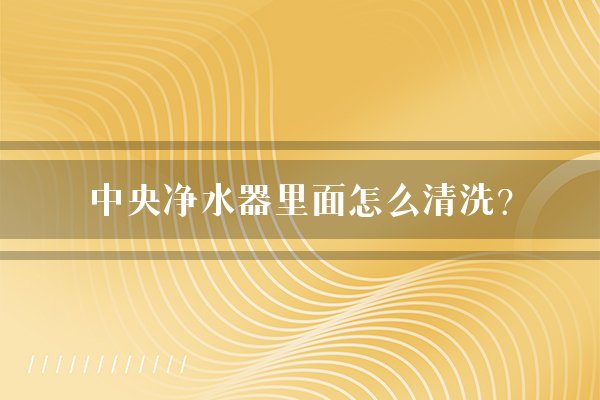 中央净水器里面怎么清洗？