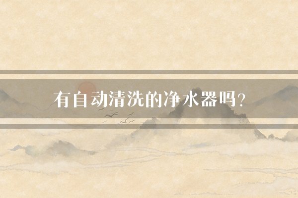有自动清洗的净水器吗？