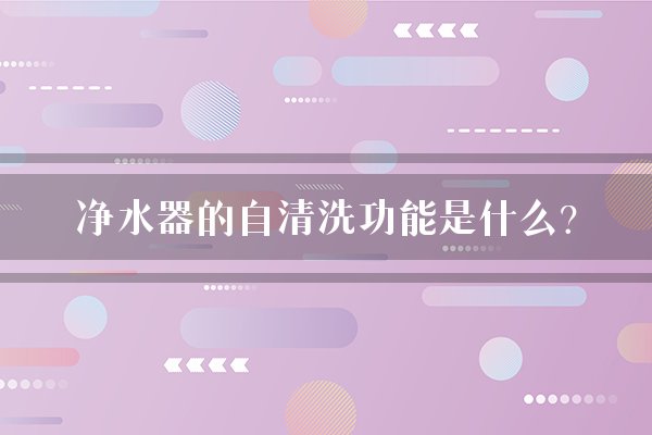 净水器的自清洗功能是什么？