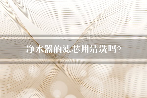 净水器的滤芯用清洗吗？