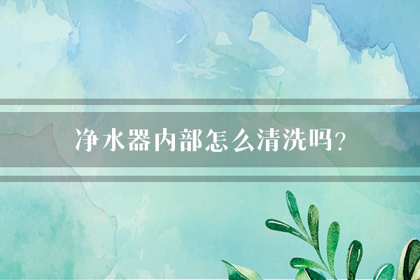 净水器内部怎么清洗吗？