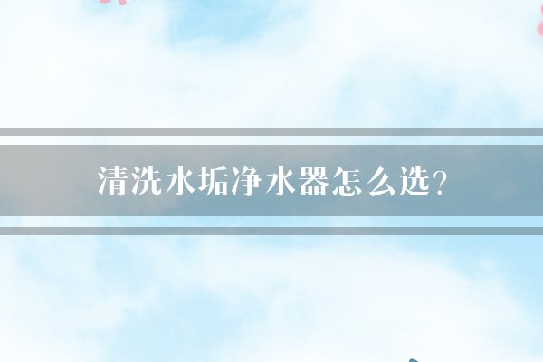 清洗水垢净水器怎么选？