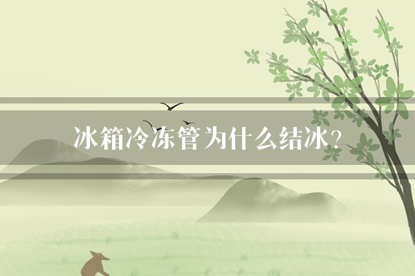 冰箱冷冻管为什么结冰？