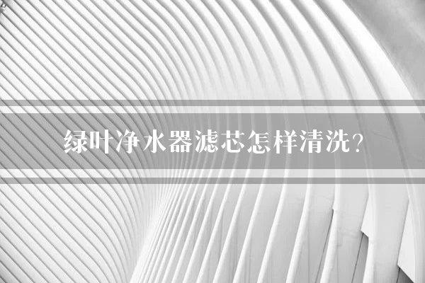 绿叶净水器滤芯怎样清洗?