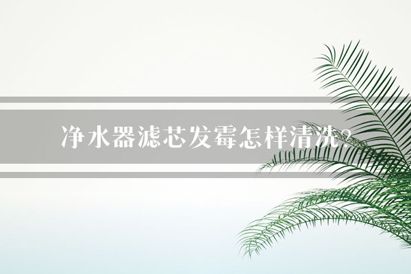 净水器滤芯发霉怎样清洗？