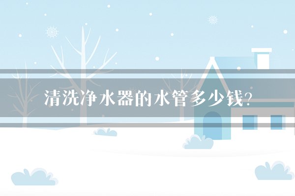 清洗净水器的水管多少钱？