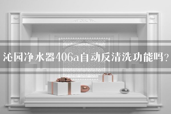 沁园净水器406a自动反清洗功能吗？