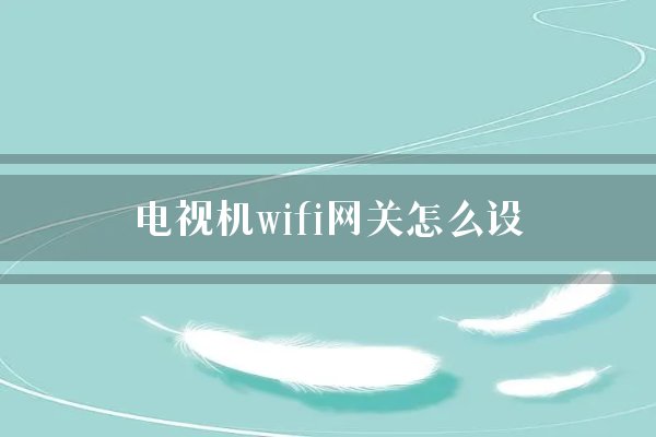 电视机wifi网关怎么设？