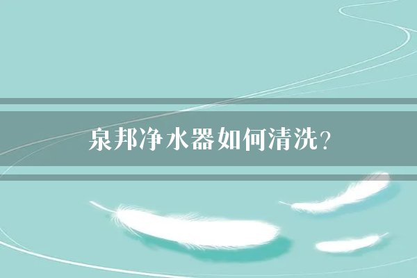 泉邦净水器如何清洗？