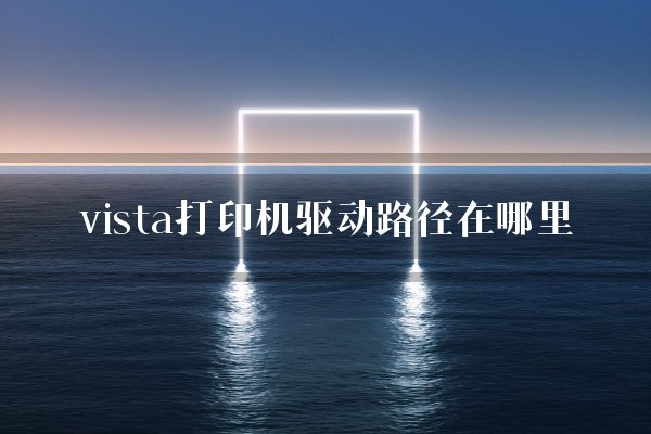 vista打印机驱动路径在哪里？