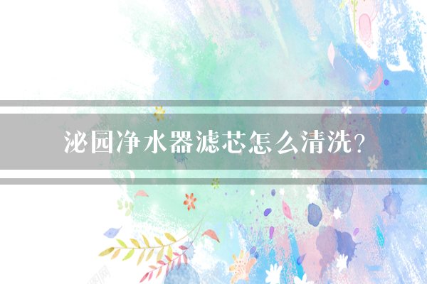 泌园净水器滤芯怎么清洗？