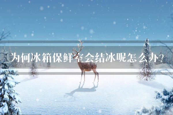 为何冰箱保鲜室会结冰呢怎么办？