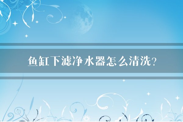 鱼缸下滤净水器怎么清洗？