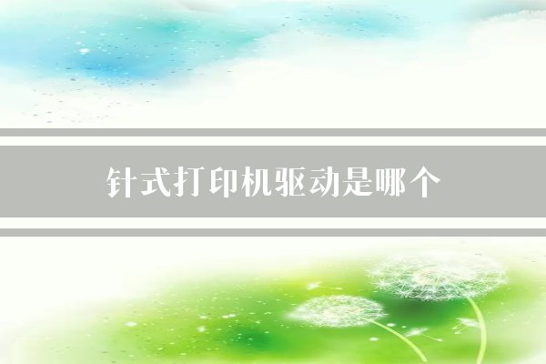 针式打印机驱动是哪个？