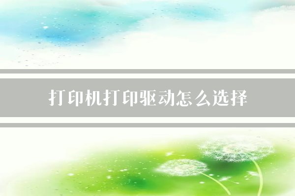 打印机打印驱动怎么选择？