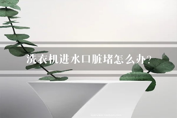 洗衣机进水口脏堵怎么办？