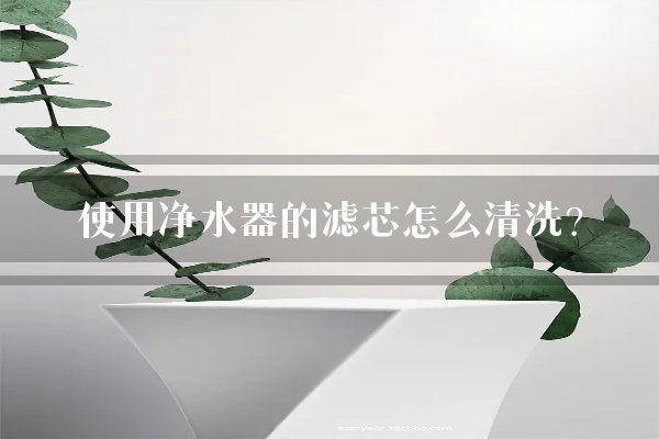 使用净水器的滤芯怎么清洗？