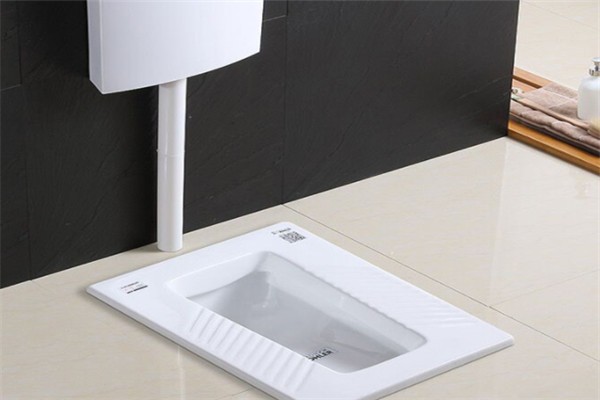 厕所老式蹲便器下水道反味特别严重怎么办?