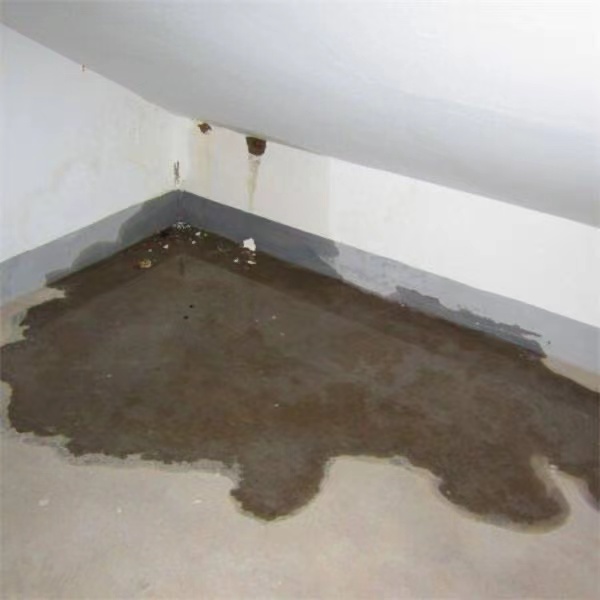 化粪池管道堵塞漏水到卫生间怎么办